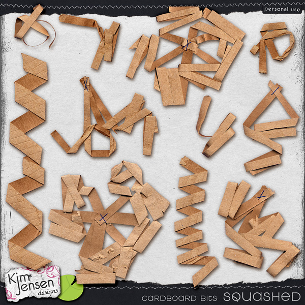 Cardboard Bits - Squashed 